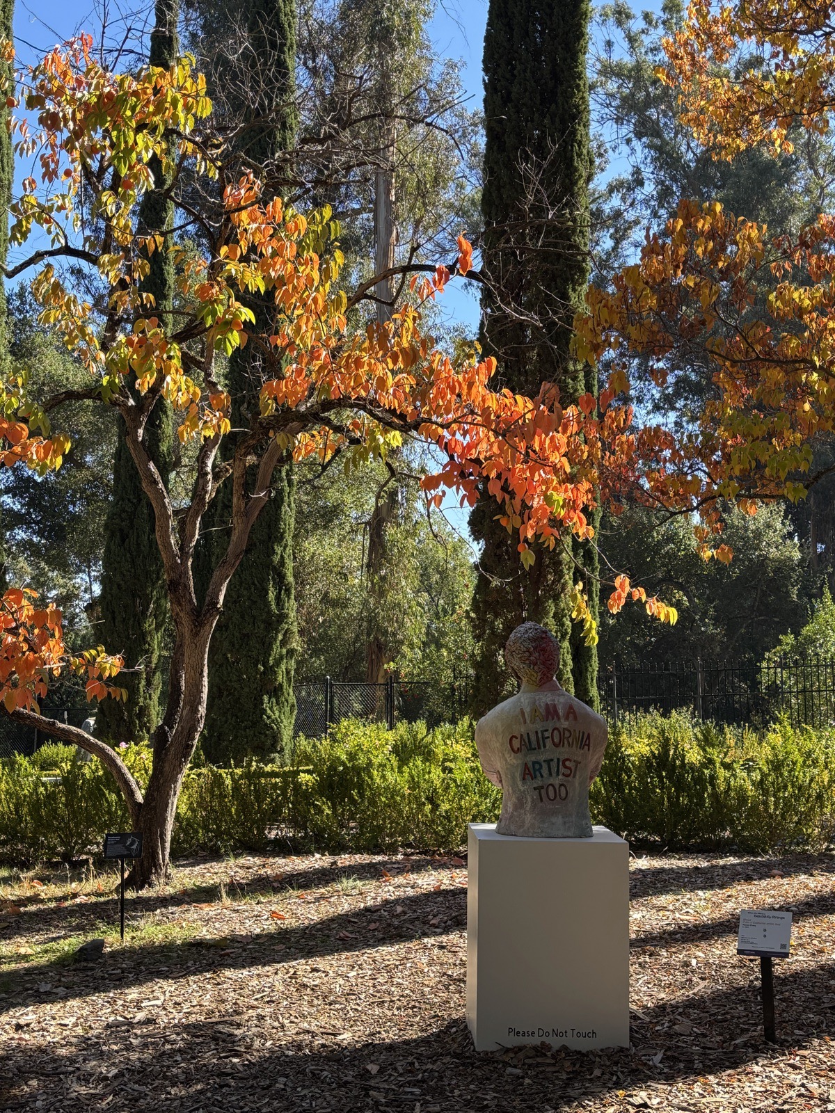 Autumn leaves glowing over a sculpture garden