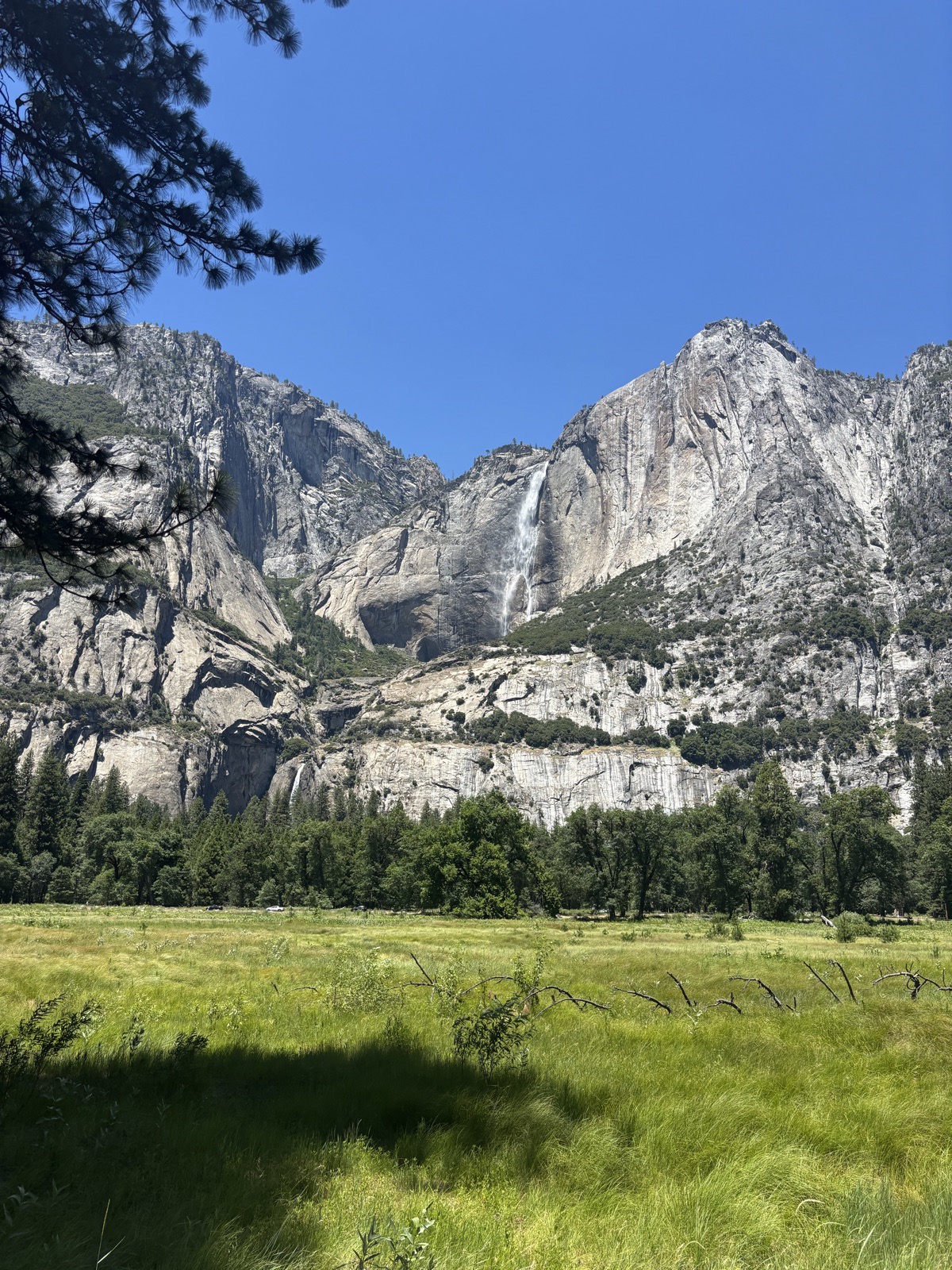 Yosemite valley meadow with a waterfall on the granite wall